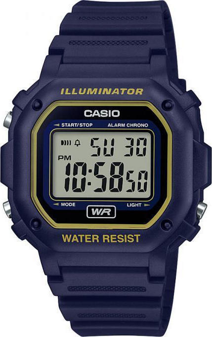 Φωτογραφία προϊόντος: Casio F-108WH-2A2EF