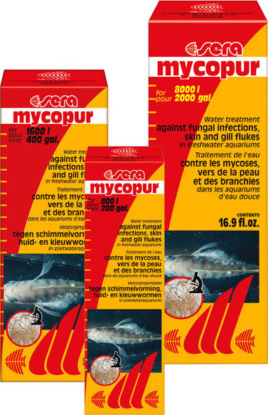 Φωτογραφία προϊόντος: Sera mycopur 50ml