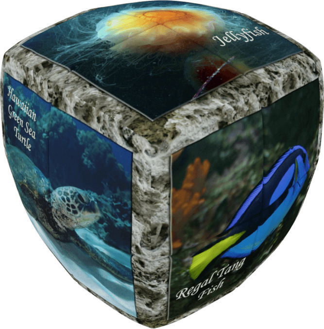 Φωτογραφία προϊόντος: Sea World - V-CUBE 2 Pillow