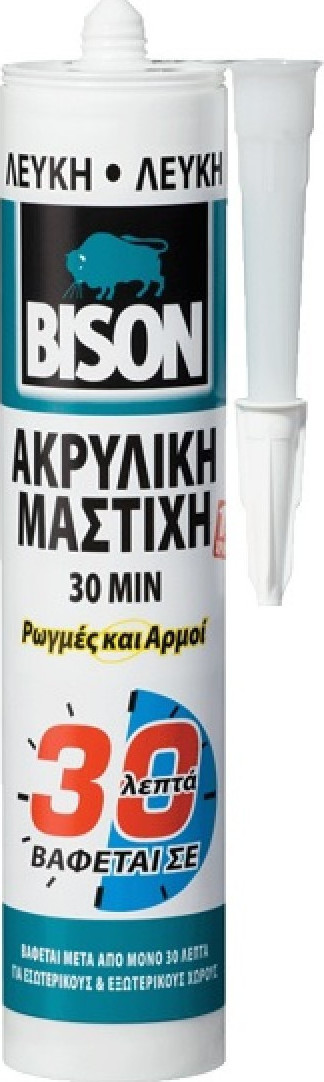 Φωτογραφία προϊόντος: ACRYLIC 30 MIN ΛΕΥΚΗ 300ml