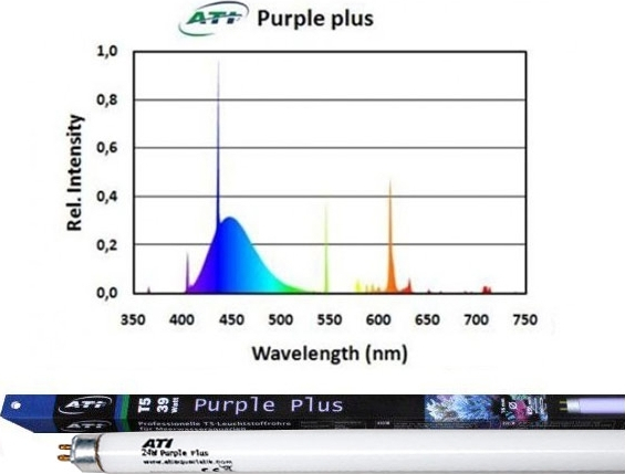 Φωτογραφία προϊόντος: ATI Purple Plus T5 24w