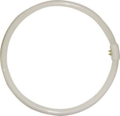 Φωτογραφία προϊόντος: Eurolamp Λάμπα Φθορίου T9 22W