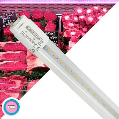 Φωτογραφία προϊόντος: GloboStar Κρεοπωλείου Λάμπα LED Τύπου Φθορίου 60cm για Ντουί G13 και Σχήμα T8 Ροζ 1000lm