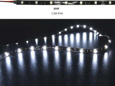 Φωτογραφία προϊόντος: Ταινία LED Ψυχρό Λευκό 5m SMD3528 12V Adeleq