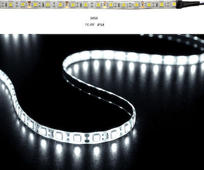 Φωτογραφία προϊόντος: Ταινία LED Ψυχρό Λευκό 5m SMD5050 12V Adeleq
