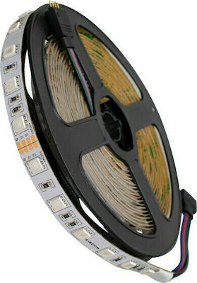 Φωτογραφία προϊόντος: Ταινία LED RGB 5m SMD5050 24V GloboStar