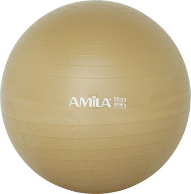 Φωτογραφία προϊόντος: Amila 48410 Μπάλα Pilates 55cm 0.95kg Χρυσή