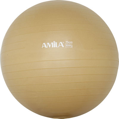 Φωτογραφία προϊόντος: Amila 48415 Μπάλα Pilates 75cm, 1.80kg Χρυσή