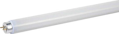Φωτογραφία προϊόντος: Eurolamp Λάμπα Φθορίου T5 8W
