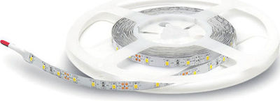 Φωτογραφία προϊόντος: Ταινία LED RGB 5m SMD5050 12V Geyer