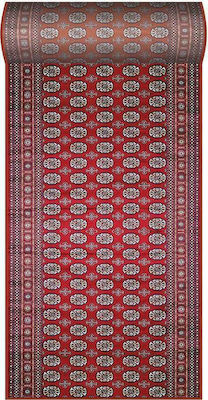 Φωτογραφία προϊόντος: Newplan Καλοκαιρινό Χαλί Διάδρομος 248/301220 Sonia με το Μέτρο Πλάτους 80εκ.