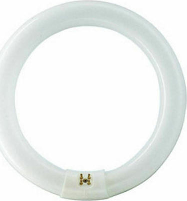 Φωτογραφία προϊόντος: Philips Λάμπα Φθορίου MASTER TL-E TLE32W/86 G10Q 32W