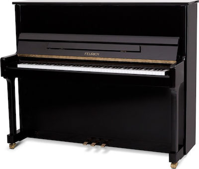 Φωτογραφία προϊόντος: Feurich 122 Universal Black Brass