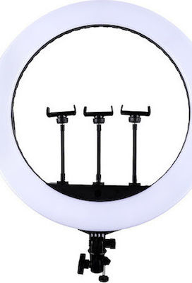 Φωτογραφία προϊόντος: Jmary FM-21R 54cm