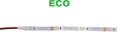 Φωτογραφία προϊόντος: Ταινία LED Θερμό Λευκό 5m SMD3014 12V Adeleq