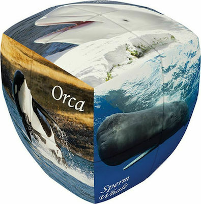 Φωτογραφία προϊόντος: V-Cube Wales 2x2 Pillow