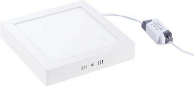 Φωτογραφία προϊόντος: Vito Εξωτερικό LED Panel 20W 6000K Ψυχρό Λευκό Φως 2000Lm 22x22εκ. 2023840