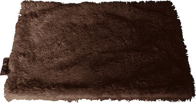 Φωτογραφία προϊόντος: ΧΑΛΑΚΙ ΣΚΥΛOY ΓΑΤΑΣ GLORIA BLANKET PET CA00311MA 60X40cm ΚΑΦΕ
