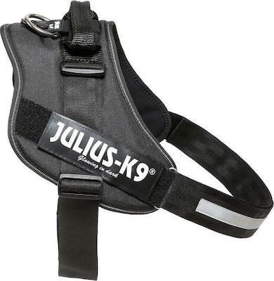 Φωτογραφία προϊόντος: ΣΑΜΑΡΑΚΙ JULIUS-K9 IDC 2/L-XL 71-96cm/50mm ΜΑΥΡΟ