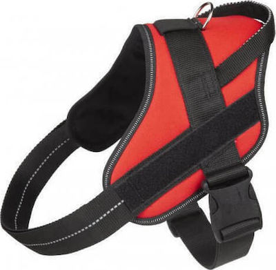 Φωτογραφία προϊόντος: ΣΑΜΑΡΑΚΙ JULIUS-K9 PURE 1/L 66-85cm/40mm ΚΟΚΚΙΝΟ