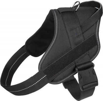 Φωτογραφία προϊόντος: ΣΑΜΑΡΑΚΙ JULIUS-K9 PURE 2/L-XL 71-96cm/40mm ΜΑΥΡΟ