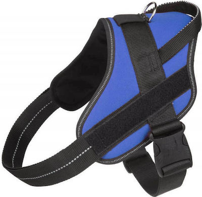 Φωτογραφία προϊόντος: ΣΑΜΑΡΑΚΙ JULIUS-K9 PURE 0/M-L 58-76cm/22mm ΜΠΛΕ