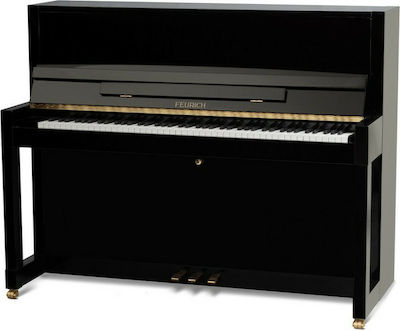 Φωτογραφία προϊόντος: Feurich 115 Premiere Black Polished Brass