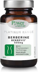 Φωτογραφία προϊόντος: Power Health Platinum Range Berberine 500mg 30caps