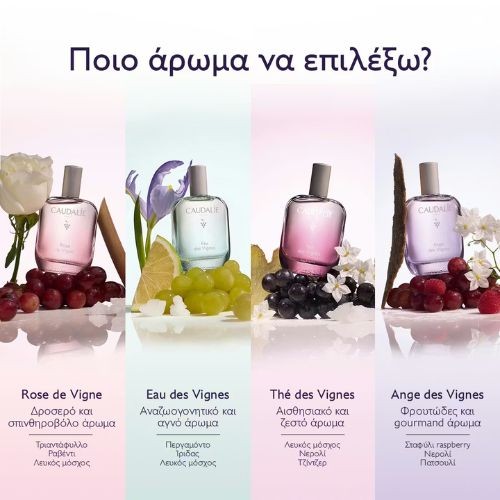 Φωτογραφία προϊόντος: CAUDALIE Ange des Vignes Light Fragrance Γυναικείο Άρωμα 50 ml