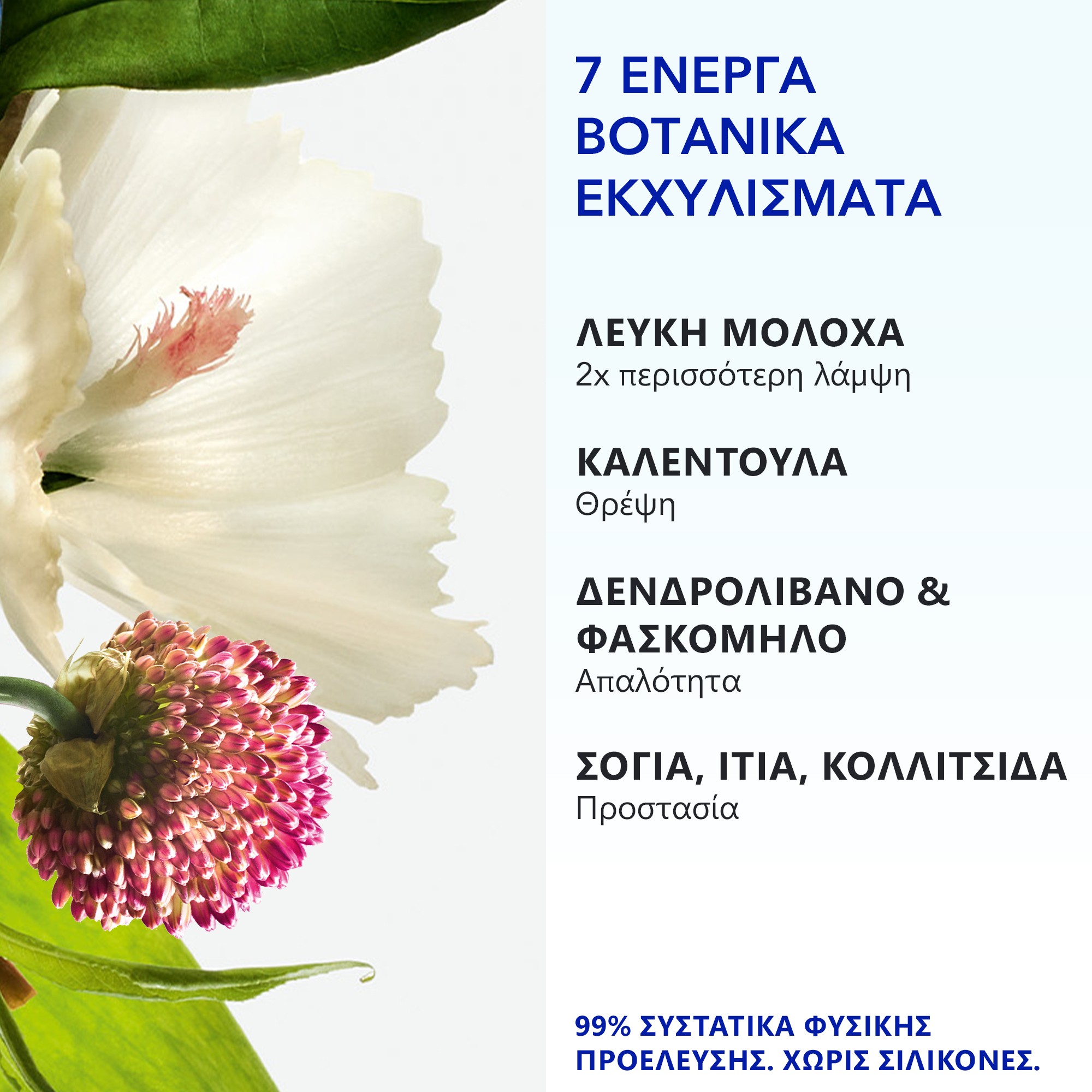 Φωτογραφία προϊόντος: PHYTO 7 Elixir Leave-In Κρέμα Θρέψης & Λείανσης Μαλλιών για Ξηρά Μαλλιά 50ML