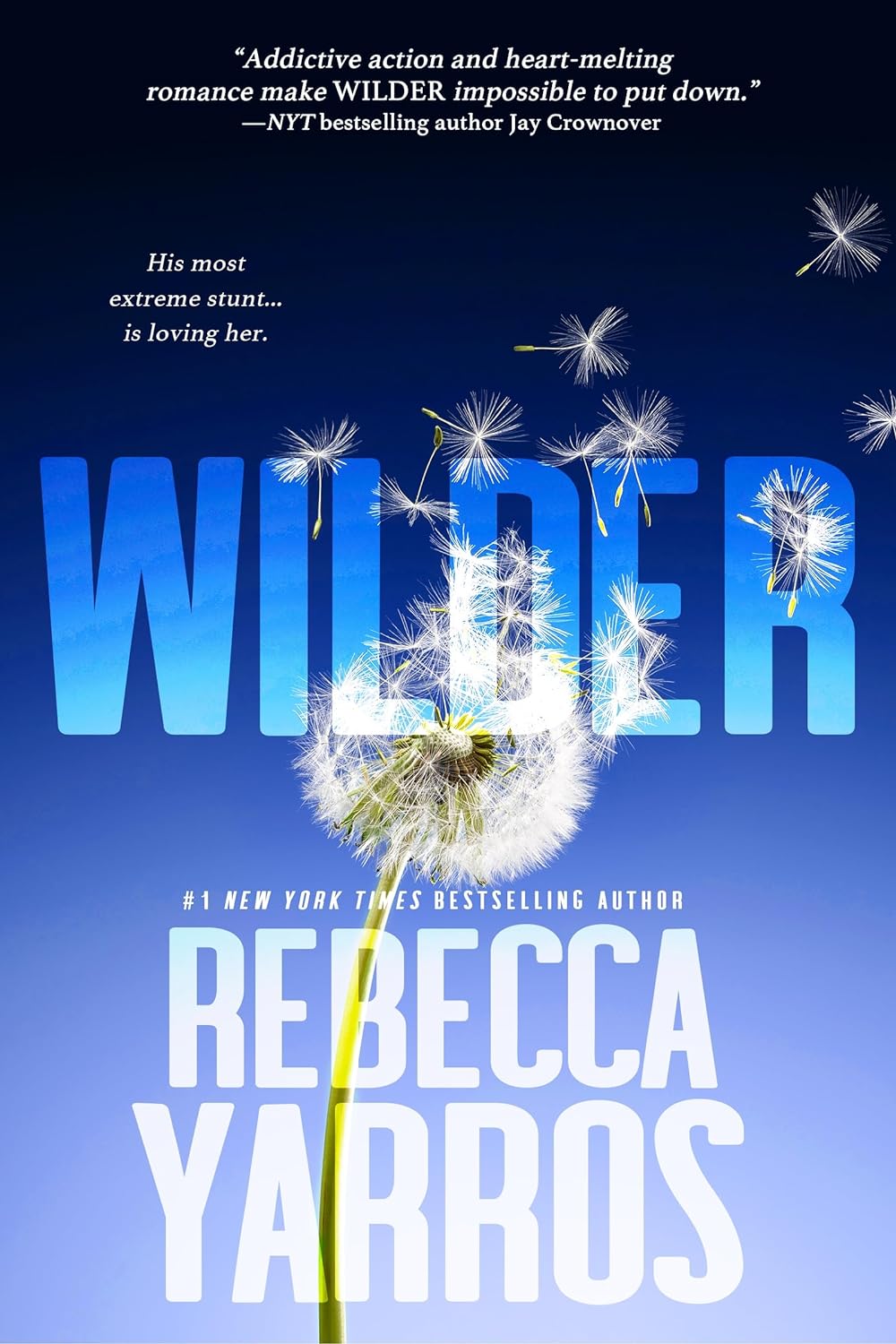 Φωτογραφία προϊόντος: LITTLE BROWN BOOK GROUP THE RENEGADES 1: WILDER PB