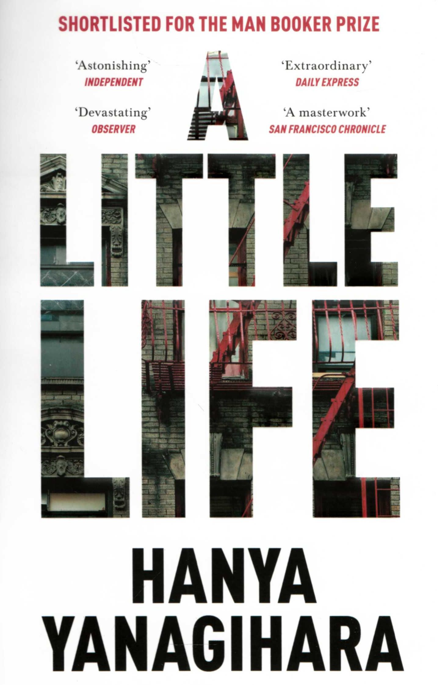 Φωτογραφία προϊόντος: PICADOR A LITTLE LIFE PB