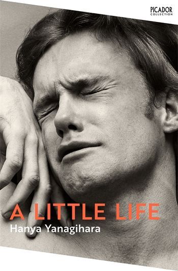 Φωτογραφία προϊόντος: PAN MACMILLAN A LITTLE LIFE