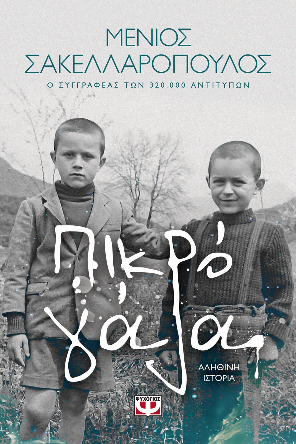 Φωτογραφία προϊόντος: ΨΥΧΟΓΙΟΣ ΠΙΚΡΟ ΓΑΛΑ