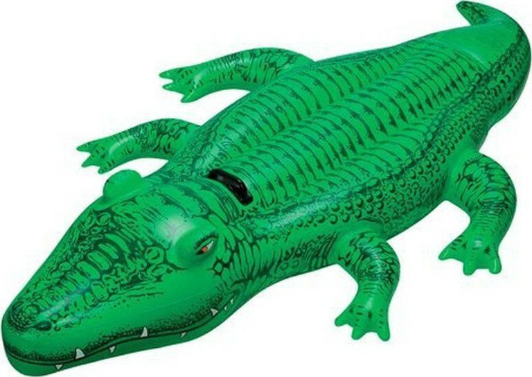 Φωτογραφία προϊόντος: INTEX Lil' Gator (58546)
