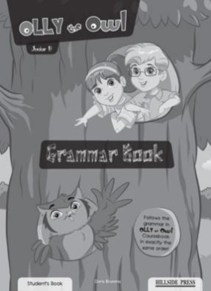 Φωτογραφία προϊόντος: OLLY THE OWL JUNIOR B GRAMMAR (HILLSIDE PRESS)