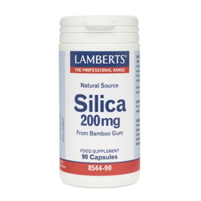 Φωτογραφία προϊόντος: Lamberts Silica 90 caps