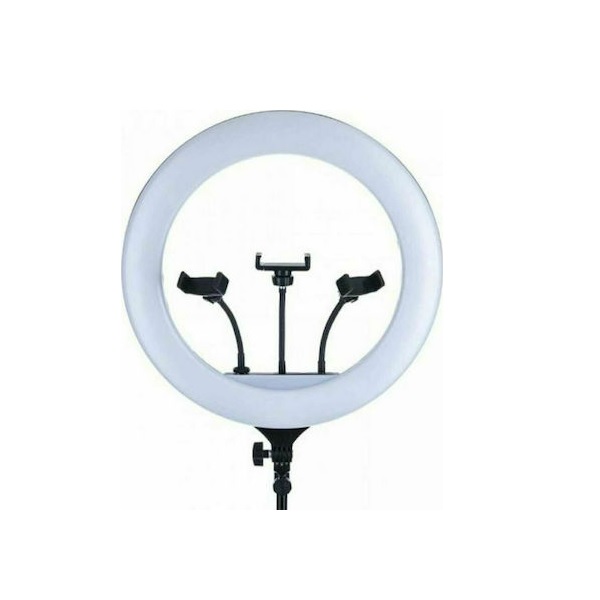 Φωτογραφία προϊόντος: Andowl Q-1800 Ring Light 44cm με τρίποδο δαπέδου και βάση κινητού