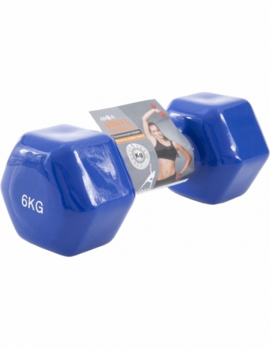 Φωτογραφία προϊόντος: AMILA Vinyl Dumbbell 6Kg