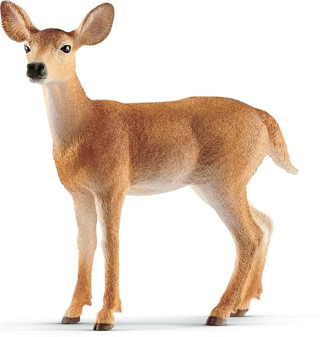 Φωτογραφία προϊόντος: Ζωάκια Schleich Ελαφίνα Με Λευκή Ουρά (SCH14819)
