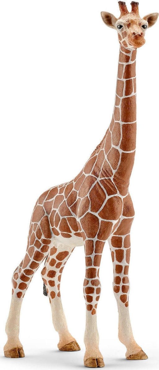 Φωτογραφία προϊόντος: Ζωάκια Schleich Καμηλοπάρδαλη Θηλυκή (SCH14750)