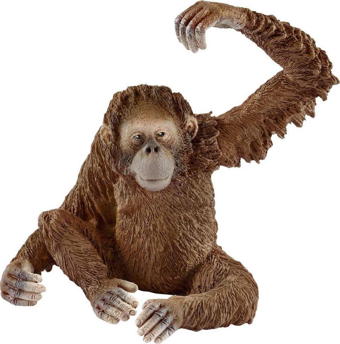 Φωτογραφία προϊόντος: Ζωάκια Schleich Ουρακοτάγκος Θηλυκός (SCH14775)