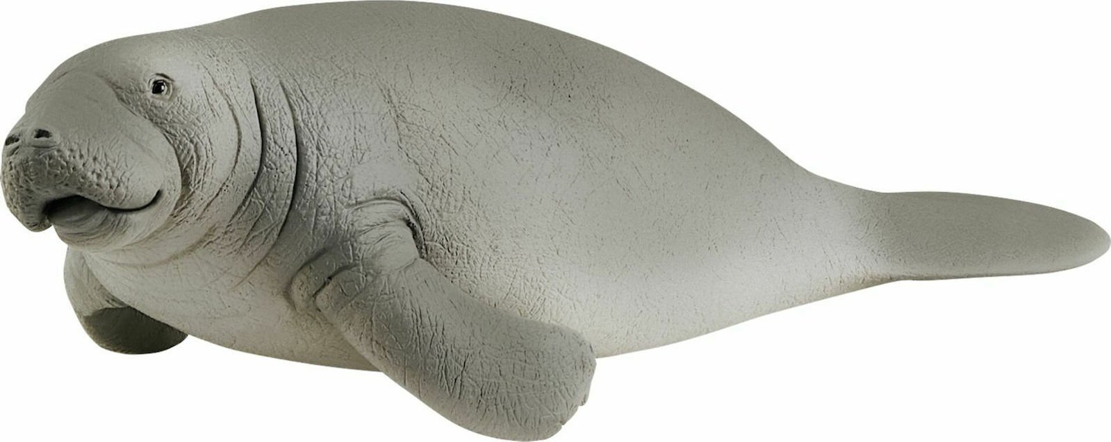Φωτογραφία προϊόντος: Ζωάκια Schleich Φώκια (SCH14839)