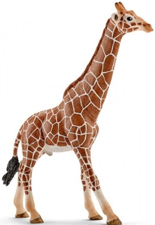 Φωτογραφία προϊόντος: Ζωάκια Schleich Καμηλοπάρδαλη (SCH14749)