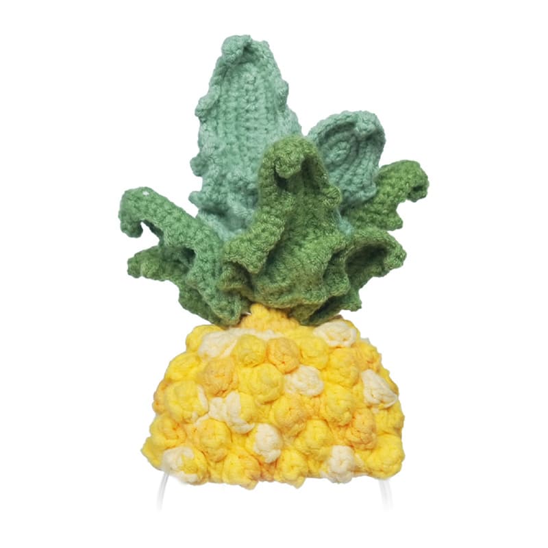 Φωτογραφία προϊόντος: Costume Loona Knitted Pineapple