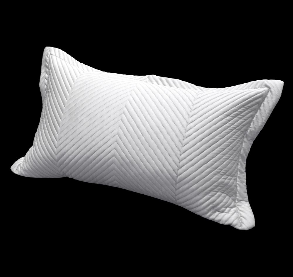 Φωτογραφία προϊόντος: Guy Laroche Μαξιλάρι Satin 30x50 χωρίς γέμιση Venere Silver