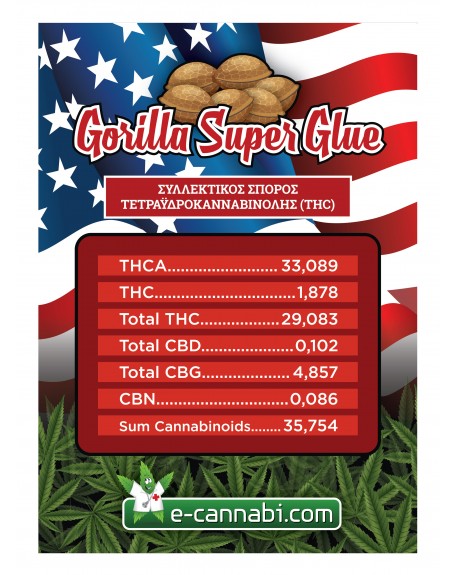 Φωτογραφία προϊόντος: GORILLA SUPER GLUE Θηλυκοποιημένοι Σπόροι – E-CANNABI