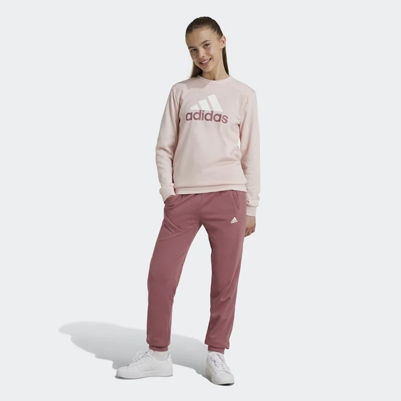 Φωτογραφία προϊόντος: ADIDAS Sportswear Essentials Big Logo French Terrys (IY5432)