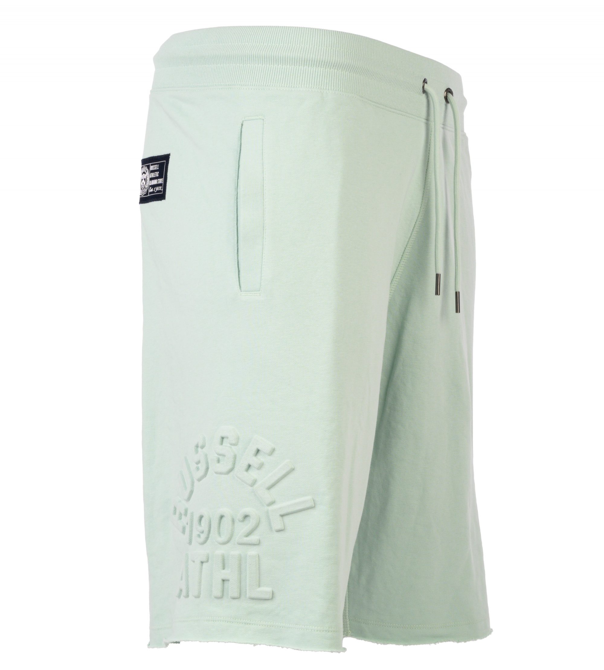 Φωτογραφία προϊόντος: RUSSELL ATHLETIC GAMMA-SEAMLESS SHORTS (A25-700-1-228)