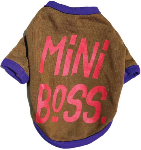 Φωτογραφία προϊόντος: Glee φούτερ MINI BOSS από υλικά υψηλής ποιότητας, μαλακό, αναπνεύσιμο και ζεστό στη χρήση small 25cm Glee (5212036513484)